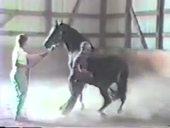 A black horse with two irate men and an erected 10-pounder